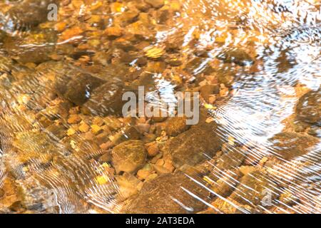 Le belle increspature della natura sul fiume che scorre sulle pietre nel sole estivo. Rocce sotto l'acqua limpida con luce solare al mattino. Sel Foto Stock