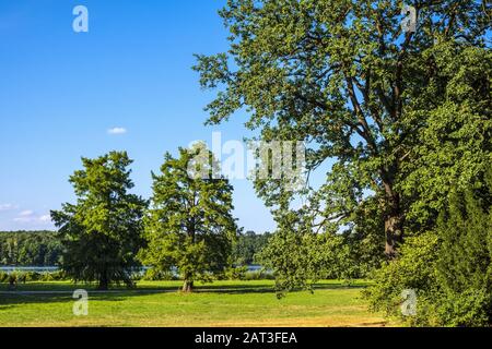 Potsdam, Brandeburgo / Germania - 2018/07/29: Vista panoramica del nuovo Giardino - Neues Garten - nei dintorni del Palazzo Cecilienhof - Schloss Cecilienhof Foto Stock