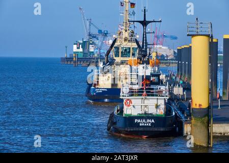 Bremerhaven, Germania, 16 gennaio 2020: La nave polivalente Paulina, un ex rimorchiatore convertito, nel porto esterno. Foto Stock