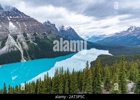 Il Lago Peyto Alberta Canada Foto Stock