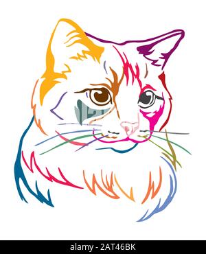 Ritratto decorativo colorato del gatto Ragdoll, illustrazione del vettore di contorno in diversi colori isolato su sfondo bianco. Immagine per design, schede e. Illustrazione Vettoriale