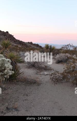 Un Arroyo è un corso d'acqua secco, che fluisce quando saturo. Chiamato anche lavaggio a secco, la loro presenza presenta un percorso attraverso Joshua Tree National Park. Foto Stock