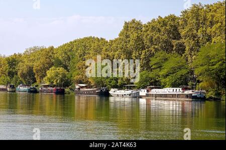 Chiatte antiche, ora case galleggianti, liveaboard, barche in fila, ormeggiato, fiume Rodano, acqua, alberi, stile di vita, scena marina, Provenza, Avignone, Francia, estate, h. Foto Stock