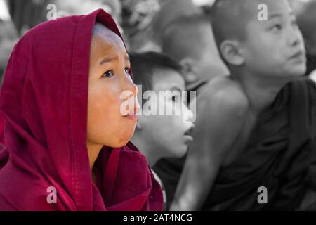 I giovani monaci buddisti novizi guardano la televisione alla scuola monastica di Educazione libera di Aung Myae Oo, Sagaing, Mandalay, Myanmar (Birmania), Asia a febbraio Foto Stock