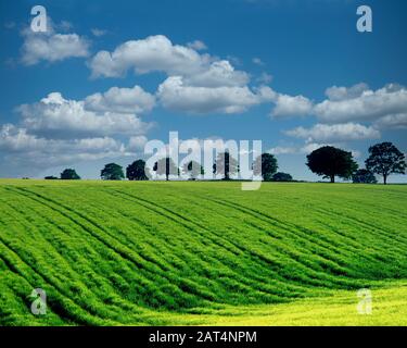 GB - GLOUCESTERSHIRE: Summertime in Cotswolds Foto Stock