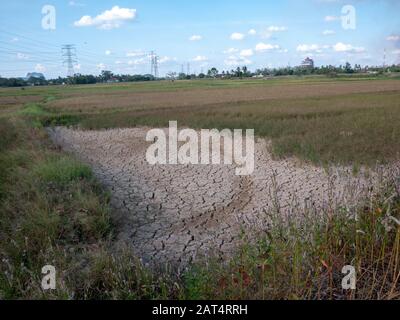 Campo di riso parched e siccità durante stagione asciutta Foto Stock