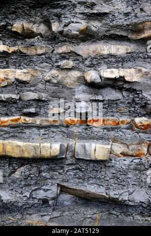 Lower Lias calcare e scisto rock strata in scogliere a Lavernock Point, South Glamorgan, Galles, Regno Unito Foto Stock