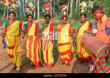 L'uomo tribale suona uno strumento musicale mentre le donne eseguono la danza popolare in un'area boschiva a Bolpur Shantiniketan, Bengala Occidentale Foto Stock