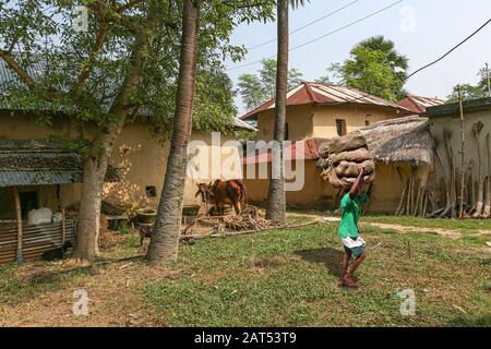 Uomo tribale che trasporta le verdure raccolte sacco sulla sua testa in un villaggio nel Bengala occidentale, India con vista delle case di fango e capanna di mucca Foto Stock