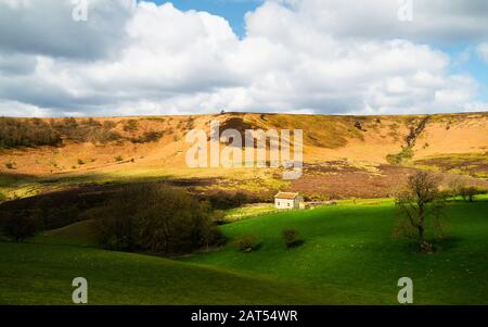 Fattoria derelict n Hole di Horgum circondato dal North York Moors, pascolo, e paesaggio di rotolamento in primavera vicino Goathland, Yorkshire, Regno Unito. Foto Stock