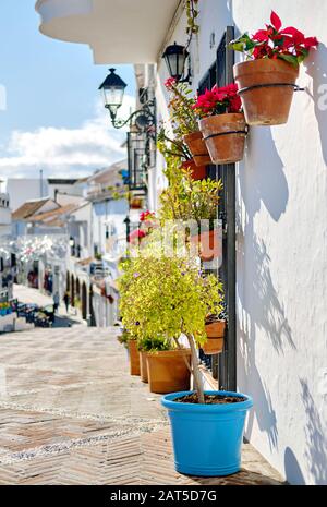 Sentiero pedonale vuoto e vasi di fiori appesi su case residenziali muro, affascinante piccolo villaggio di Mijas, Costa del Sol, Andalusia, Spagna. Soleggiato Foto Stock