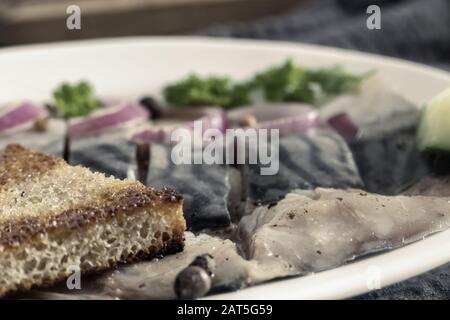 Salate sgombri con cipolla, cetriolo e erbe aromatiche Foto Stock