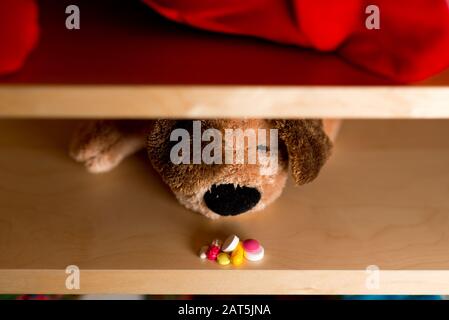 pillole multicolore si trovano su una mensola con un cane peluche. Vista dall'alto Foto Stock