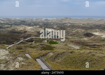 Strada sterrata attraverso le dune, costa occidentale di Amrum, Germania. Amrum è una delle Isole Frisone del Nord sulla costa tedesca del Mare del Nord, a sud di Sylt e. Foto Stock