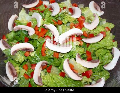 Insalata di giardino fresca con lattuga romaine, funghi bianchi a fette e peperoni rossi a dadini Foto Stock