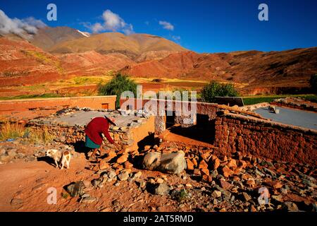 Tipica casa andina degli abitanti di questa remota parte del mondo come visto da Ruta 40, la Puna, Argentina Foto Stock