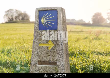 Segno Camino de Santiago con fondo verde erba. Segno di pellegrinaggio a Santiago de Compostela Foto Stock