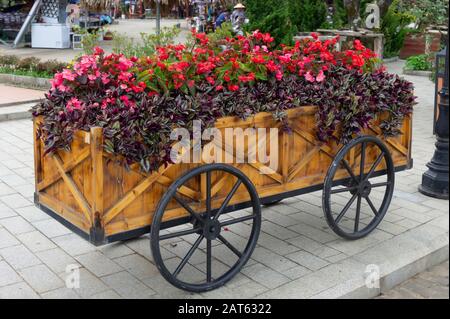 Fiori colorati su carrello o carrello in legno in giardino Foto Stock