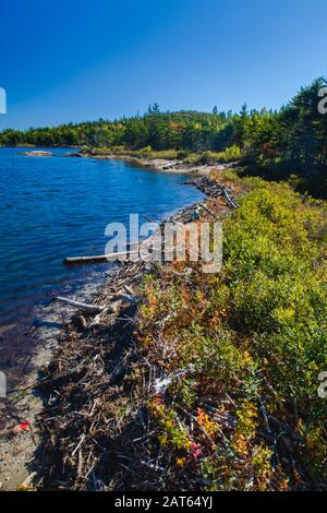 Beaver Dam al Bowl nel Parco Nazionale di Acadia sull'Isola di Mount Desert nel Maine, Stati Uniti Foto Stock