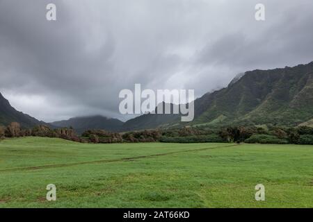 Kaaawa, Oahu, Hawaii, Stati Uniti. - 11 gennaio 2020: La valle di Kualoa mostra un prato verde profondo con strada sterrata che lacera una linea e fianchetti boschivi di alti monti Foto Stock