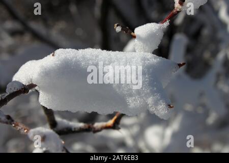 Scena di neve a East ChezzetCook Nova Scotia. Foto Stock