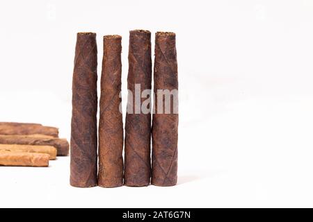 Primo piano cigarillo cubano e sigari su sfondo bianco. Foto Stock