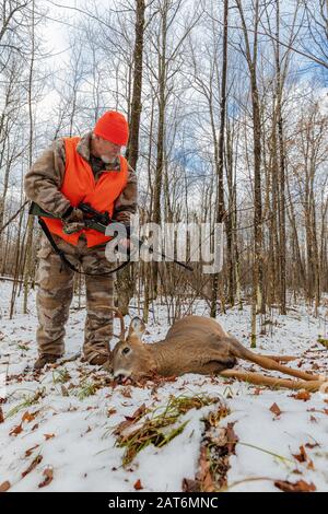 Il cacciatore di cervi si avvicina al suo dollaro raccolto nel Wisconsin settentrionale. Foto Stock