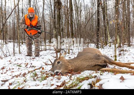 Il cacciatore di cervi si avvicina al suo dollaro raccolto nel Wisconsin settentrionale. Foto Stock