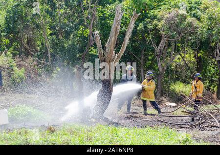 Firemen In Giamaica Dousing Burning Tree Con Acqua Ad Alta Potenza Foto Stock