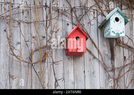 Case di legno rosse e turchesi sulla parete laterale di un vecchio fienile rustico alla fine dell'autunno Foto Stock