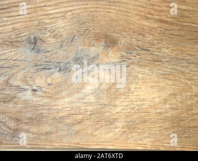 Quercia leggera, naturalmente invecchiato disegno naturale di tessitura di legno segato con un nodo vicino. Sfondo Foto Stock