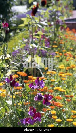 giardini e giardini di baddesley clinton, residenza signorile del warwickshire inghilterra, regno unito Foto Stock