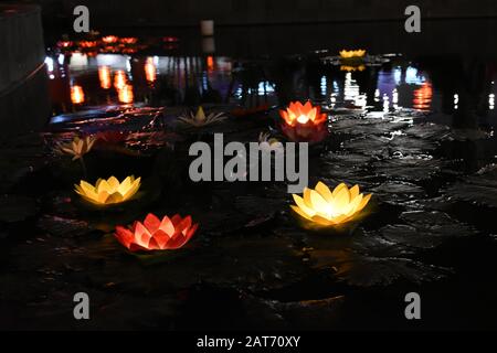 Lanterne di loto che galleggiano su uno stagno come decorazioni durante il festival cinese del nuovo anno. Surakarta, Indonesia. Foto Stock