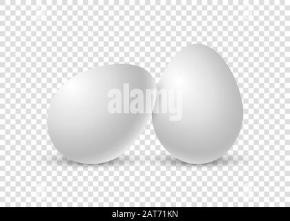 Due uova di pollo. Uovo realistico con ombra morbida. Uova di animali realistiche singole. Modello per la vacanza di Pasqua isolato su sfondo bianco Illustrazione Vettoriale