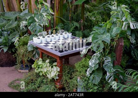 La Giant Houseplant Takeover mostra nella serra di RHS Wisley Gardens, Surrey, Regno Unito. Casa vittoriana reclamata dalle case. Gennaio 2020 Foto Stock