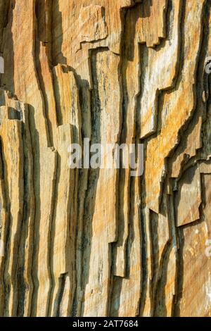 Disegno stratificato di legno pietrificato vicino Foto Stock
