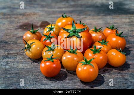 CA Chua o pomodori di alta qualità, da Lat, Vietnam Foto Stock