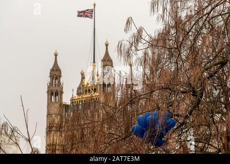 Westminster, Londra, Regno Unito. 31st Gen 2020. La giornata è stata scialdata e grigia il giorno in cui il Regno Unito lascia ufficialmente l'Unione europea. La Brexit è fissata per il 11pm la sera con una celebrazione dovuta in Piazza del Parlamento. Palloncini europei bloccati in un albero al di fuori del Parlamento Foto Stock