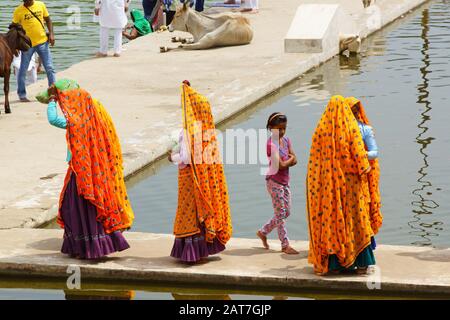 Pushkar, India - 15 agosto 2016: Uomini, mucche e donne in variopinti sari al lago per il bagno santo. Il lago Pushkar è uno dei luoghi più santi per gli indù Foto Stock