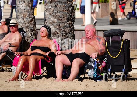 Benidorm, Provincia di Alicante, Spagna. 31 gennaio 2020. I turisti britannici si rilassano al sole spagnolo sulla spiaggia e sul lungomare di Levante, prendendo il sole. Foto Stock