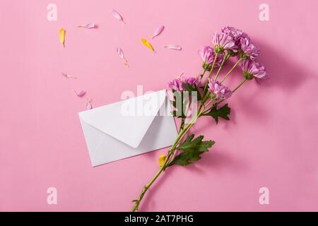 Crisantemo viola e petali su sfondo rosa Foto Stock