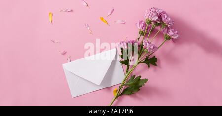 Crisantemo viola e petali su sfondo rosa Foto Stock