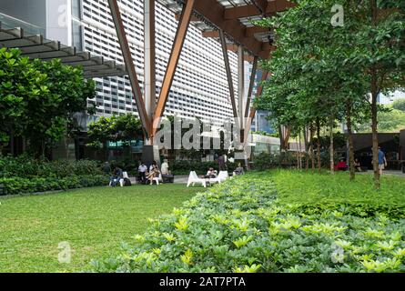 Singapore. Gennaio 2020. Alcune persone rilassano la lettura in un parco cittadino Foto Stock