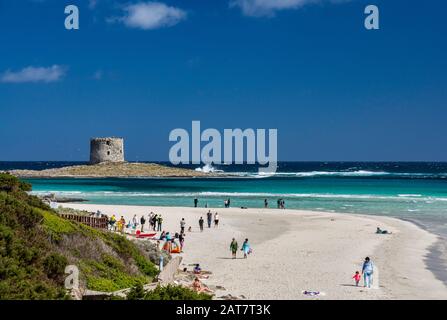 Spiaggia della Pelosa, spiaggia vicino Capo del Falcone e villaggio di Stintino, Torre Pelosa, torre di guardia cinquecentesca, Sassari, Sardegna, Italia Foto Stock