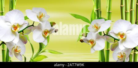 sfondo spa con ocideen e bamboo in verde Foto Stock