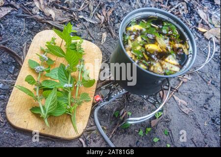cucinare il tè sopra un fuoco, tè con limone e menta Foto Stock
