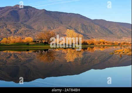 Vista del lago di Kerkini con riflessioni sull'acqua al tramonto nella Grecia settentrionale. Fotografo cercando di catturare una mandria di bufali d'acqua Foto Stock