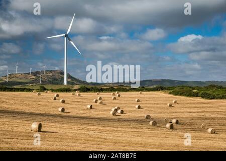 Turbine eoliche su campi nei pressi del paese di Tergu, nei pressi di Castelsardo, Anglona, provincia di Sassari, Sardegna, Italia Foto Stock