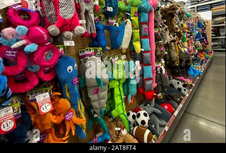 Orlando, FL/USA-1/29/20: Un'esposizione di varie marche di giocattoli colorati del cane per la vendita ad un supermercato Petsmart pronto affinchè i proprietari dell'animale domestico acquistino per loro Foto Stock