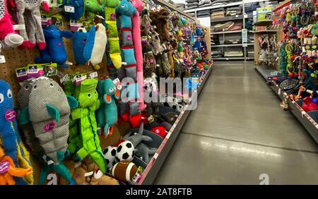 Orlando, FL/USA-1/29/20: Un'esposizione di varie marche di giocattoli colorati del cane per la vendita ad un supermercato Petsmart pronto affinchè i proprietari dell'animale domestico acquistino per loro Foto Stock